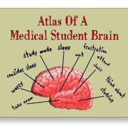 MedStudentbrain